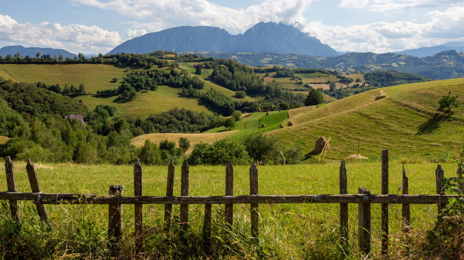 Terra Borza Teutonica